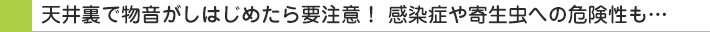 天井裏で物音がしはじめたら要注意！ 感染症や寄生虫への危険性も…