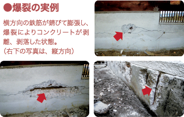 爆裂の実例。横方向の鉄筋が錆びて膨張し、爆裂によりコンクリートが剥離、剥落した状態。