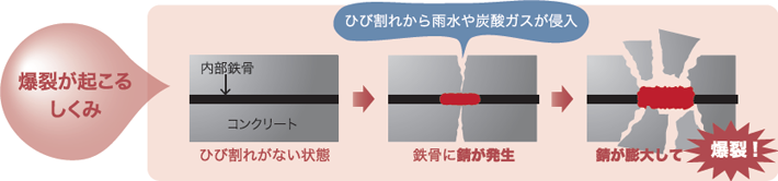 爆裂が起こる仕組みは、ひび割れから雨水や炭酸ガスが侵入し、鉄骨に錆が発生します。その錆が膨大して爆裂が起きます。
