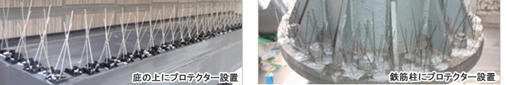 庇の上にプロテクター設置・鉄筋柱にプロテクター設置