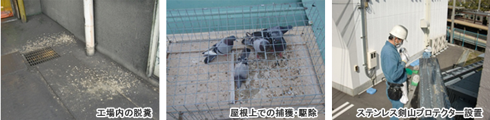 工場内の脱糞・屋根上での捕獲、駆除・ステンレス剣山プロテクター設置