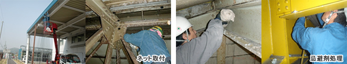 ネット取付・忌避剤処理