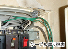 ケーブル齧り被害
