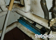 ラットサイン