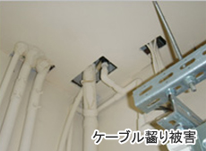 ケーブル齧り被害