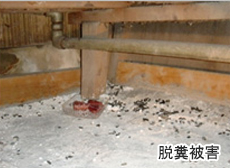 脱糞被害