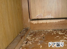 ドア齧り