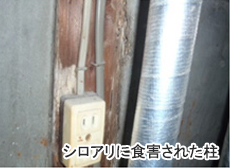 シロアリに食害された柱