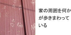 家の周囲を何かが歩きまわっている