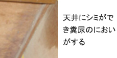 天井にシミができ糞尿のにおいがする