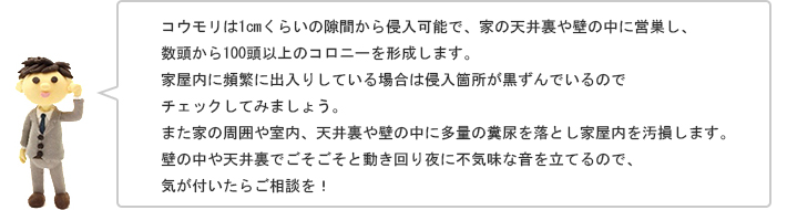 コウモリは1cmくらいの隙間から侵入可能で、家の天井裏や壁の中に営巣し、数頭から100頭以上のコロニーを形成します。家屋内に頻繁に出入りしている場合は侵入箇所が黒ずんでいるので
チェックしてみましょう。また家の周囲や室内、天井裏や壁の中に多量の糞尿を落とし家屋内を汚損します。壁の中や天井裏でごそごそと動き回り夜に不気味な音を立てるので、気が付いたらご相談を！