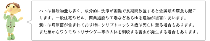 ハトは排泄物量も多く、成分的に洗浄が困難で長期間放置すると金属類の腐食も起こります。一般住宅やビル、商業施設や工場などあらゆる建物が被害にあいます。糞には病原菌が含まれており特にクリプトコックス症は死亡に至る場合もあります。また巣からワクモやトリサシダニ等の人体を刺咬する害虫が発生する場合もあります。