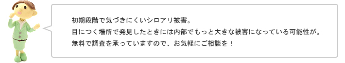 初期段階で気づきにくいシロアリ被害。目につく場所で発見したときには内部でもっと大きな被害になっている可能性が。無料で調査を承っていますので、お気軽にご相談を！