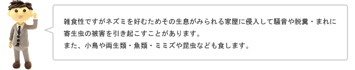 雑食性ですがネズミを好むためその生息がみられる家屋に侵入して騒音や脱糞・まれに寄生虫の被害を引き起こすことがあります。また、小鳥や両生類・魚類・ミミズや昆虫なども食します。
